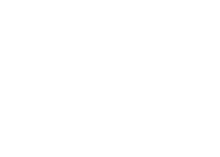Sneaky Raccoons